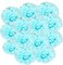 20pcs Light Blue Paper Pom Poms Decorations, DIY Decorative Tissue Paper Pom-poms Flowers Ball for Party Wedding Outdoor Decoration